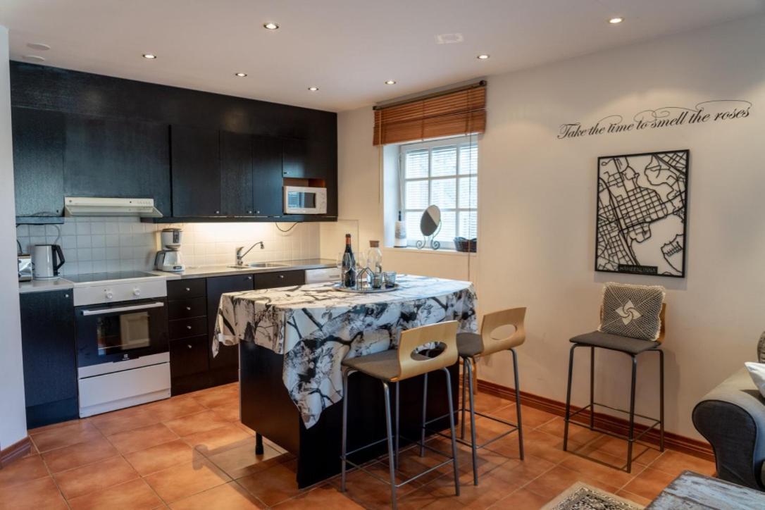 Myllytalo Apartment Hameenlinna Bagian luar foto